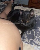 Анкета проститутки Забава - метро Царицыно, возраст - 25